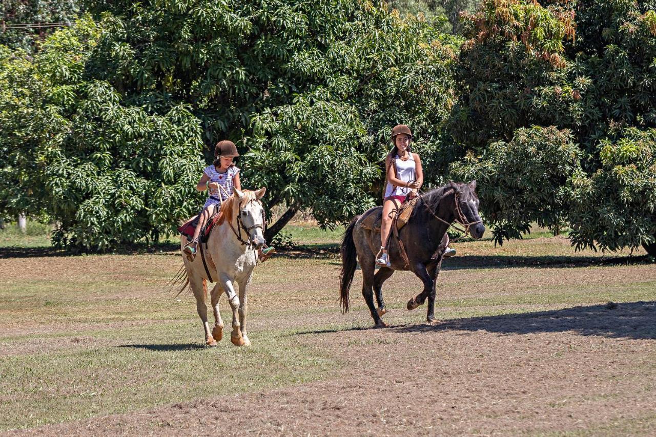 Santa Eliza Eco Resort Ribeirão Bonito Εξωτερικό φωτογραφία